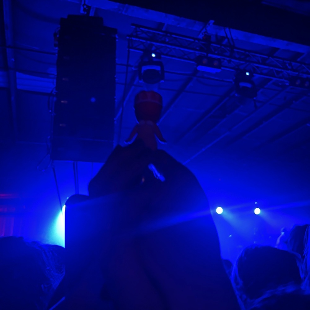 Meet your Posher, Janel